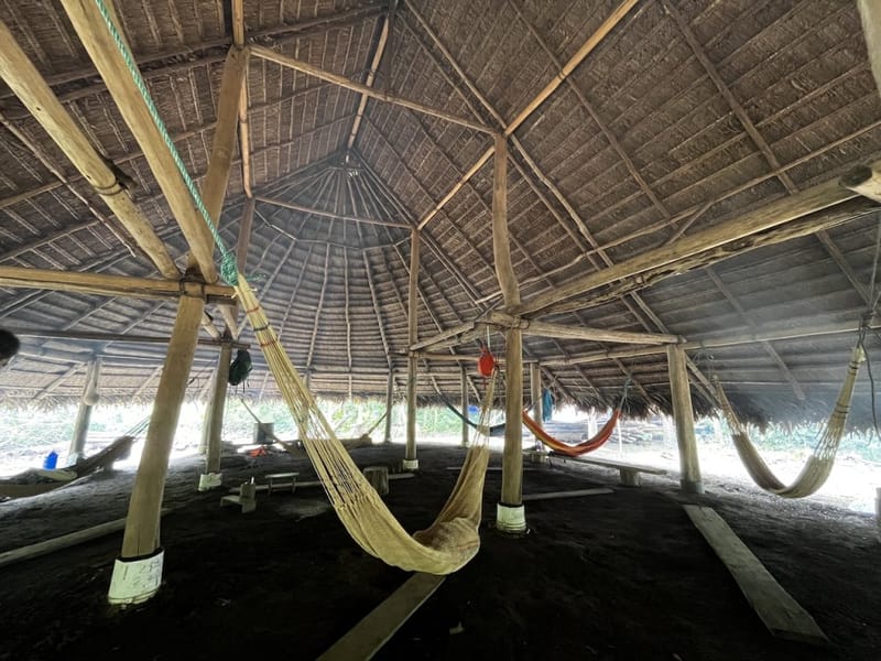 Open-air thatched shelter with hammocks strung between bamboo posts in the Ecuadorian Amazon