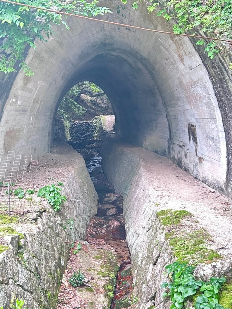 Stone arch tunnel with a narrow water channel running through moss-covered stonework in Japan