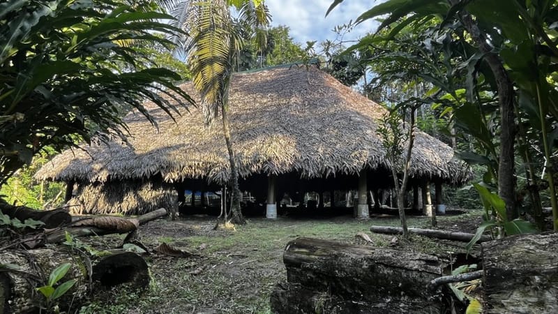 Traditional thatched-roof maloca surrounded by Amazon jungle vegetation in Ecuador