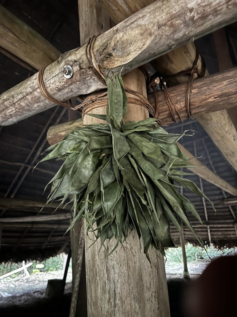 Bundle of green tropical leaves tied to a wooden post inside a traditional open-air structure in the Ecuador Amazon