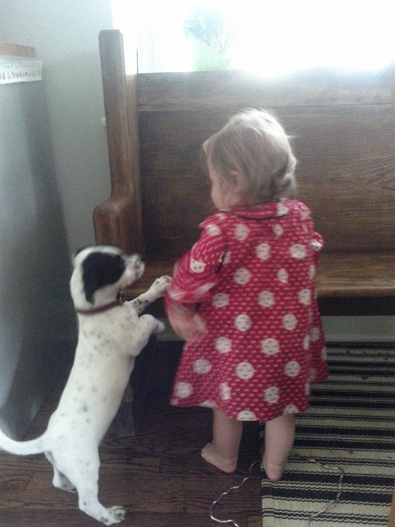 Otto the dog standing on hind legs beside a toddler in a red dress at the foot of wooden stairs